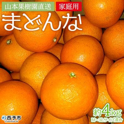 ふるさと納税 西予市 紅まどんなと同品種!山本果樹園直送 愛媛県西予市三瓶産 まどんな 4kg(家庭用)