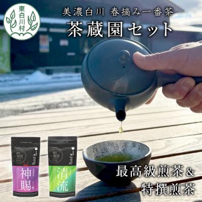 ふるさと納税 東白川村 高級煎茶飲み比べ 茶蔵園セット 神賜 清流 お茶 白川茶 美濃白川茶
