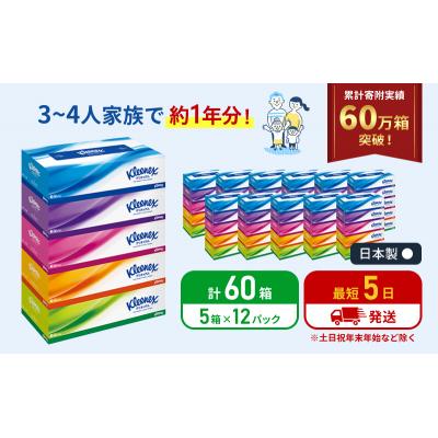 ふるさと納税 岩沼市 クリネックスティシュー( 5箱 × 12パック入り )ティッシュペーパー