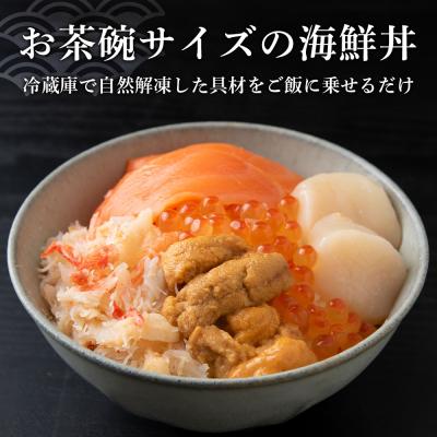 ふるさと納税 千歳市 【定期便 全3回】北海道といえば!海鮮丼の具 60g×4個セット |  | 01