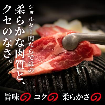 ふるさと納税 千歳市 生ラム (冷凍)タレ付 600g＜肉の山本＞ |  | 01
