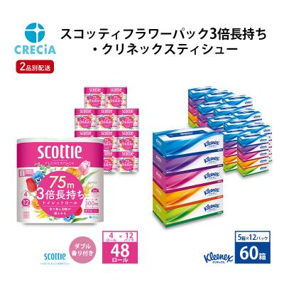 ふるさと納税 岩沼市 [2品別配送]トイレットペーパー ダブル 48R・ティッシュ60箱