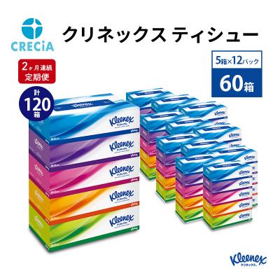 ふるさと納税 岩沼市 [2ヶ月連続定期便]ティッシュペーパー クリネックス 60箱 