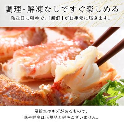 ふるさと納税 千歳市 北海道産【朝ゆで】訳あり毛ガニ 800g詰 期間限定!≪かにのマルマサ≫ |  | 01