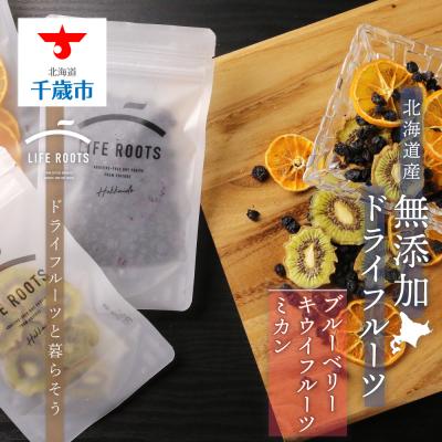 ふるさと納税 千歳市 [国産]無添加ドライフルーツ 〜ブルーベリー×キウイフルーツ×ミカン〜