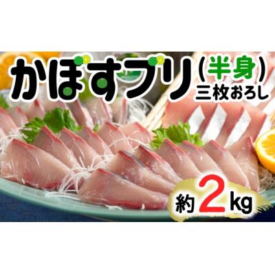 ふるさと納税 臼杵市 [先行受付]≪着日指定必須≫さっぱり美味い「うすき産(養殖)かぼすブリ」 (半身)