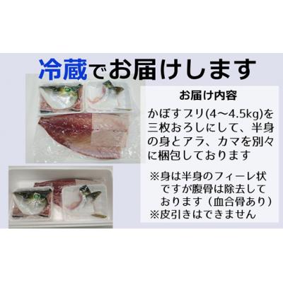 ふるさと納税 臼杵市 【年末配送可】≪着日指定必須≫さっぱり美味い「うすき産(養殖)かぼすブリ」 (半身) |  | 01