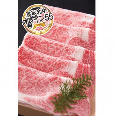 ふるさと納税 倉吉市 鳥取和牛 最上級A5ランクオレイン55 リブロース スライス(大) 約500g