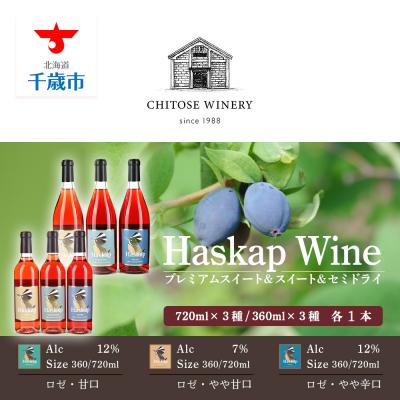 ふるさと納税 千歳市 千歳ワイナリー ハスカップのワイン3種720ml×各1本+ ハスカップのワイン3種360ml×各1本