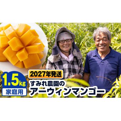 ふるさと納税 南風原町 【2027年発送】すみれ農園のアーウィンマンゴー家庭用1.5kg | 