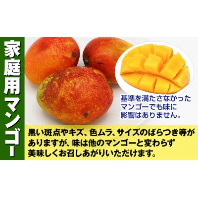 ふるさと納税 南風原町 【2027年発送】すみれ農園のアーウィンマンゴー家庭用1.5kg |  | 01