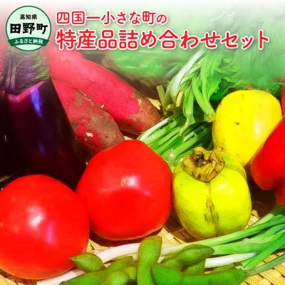 ふるさと納税 田野町 [四国一小さなまち]★道の駅田野駅屋★特産品詰め合わせセット