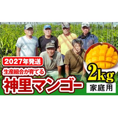 ふるさと納税 南風原町 [2027年発送]生産組合が育てる神里のマンゴー2kg 家庭用