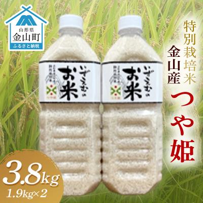 ふるさと納税 金山町 [令和7年産] 金山産米「つや姫1.9kg」×2本セット