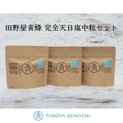 ふるさと納税 田野町 [四国一小さなまち]塩職人 田野屋青蜂 完全天日塩中粒セット 100g×3個