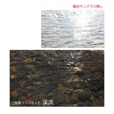 ふるさと納税 三条市 [ベルモント] 偏光グラス Soleil ブラウン(ツヤ) グラファイトグレー【088S008】の画像