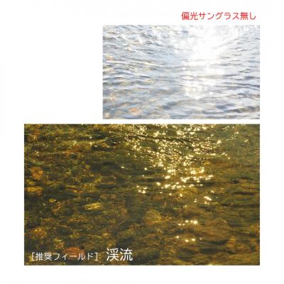 ふるさと納税 三条市 [ベルモント]偏光グラスSoleil クリアダークグレー(ツヤ) トリードベンド 【088S012】の画像