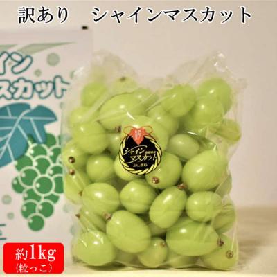 ふるさと納税 出雲市 [2026年7月下旬以降発送]いずもぶどう 訳ありシャインマスカット(粒っこ)1kg見当 新鮮 甘い