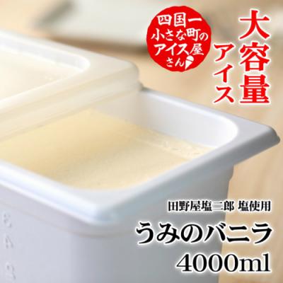 ふるさと納税 田野町 [四国一小さなまちのアイス屋さん]≪松崎冷菓≫大容量アイス4000ml ★うみのバニラ★