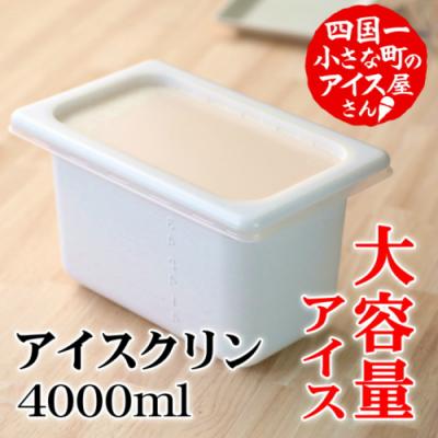 ふるさと納税 田野町 [四国一小さなまちのアイス屋さん]≪松崎冷菓≫大容量アイス4000ml ★アイスクリン★