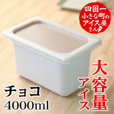 ふるさと納税 田野町 [四国一小さなまちのアイス屋さん]≪松崎冷菓≫大容量アイス4000ml ★チョコ★