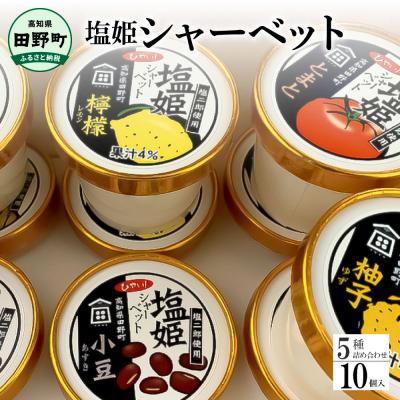 ふるさと納税 田野町 [四国一小さなまち]塩姫シャーベット5種詰め合わせセット 100ml×10個