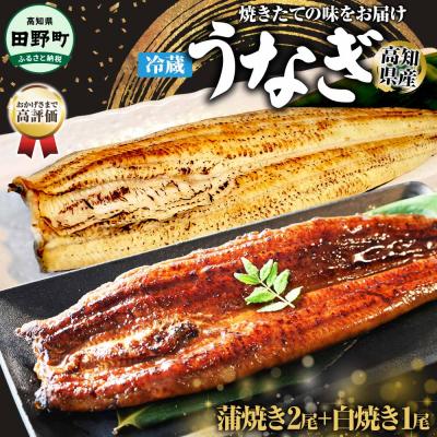 ふるさと納税 田野町 [四国一小さなまち]ヤマシン特選うなぎの蒲焼き2尾+白焼き1尾入り(特製タレ付き)