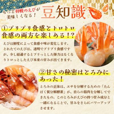 ふるさと納税 羽幌町 【訳あり】 ぼたんえび 1kg (小サイズ) |  | 03