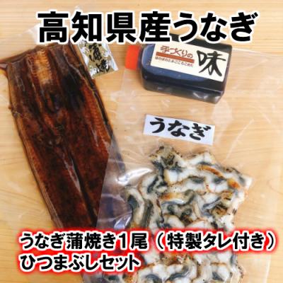 ふるさと納税 田野町 [四国一小さなまち]ヤマシン特選うなぎ蒲焼き 1尾+ひつまぶし 1パックセット