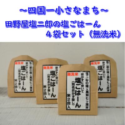 ふるさと納税 田野町 [四国一小さなまち]田野屋塩二郎の塩ごはーん 4袋セット(無洗米)