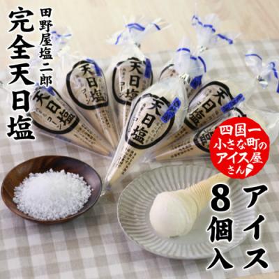 ふるさと納税 田野町 [四国一小さなまち]★田野屋塩二郎完全天日塩使用★ 塩バニラコーンアイス 8個 ≪松崎冷菓≫