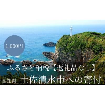 ふるさと納税 土佐清水市 [返礼品なしの応援]高知県土佐清水市 1000円 千円[R00001]