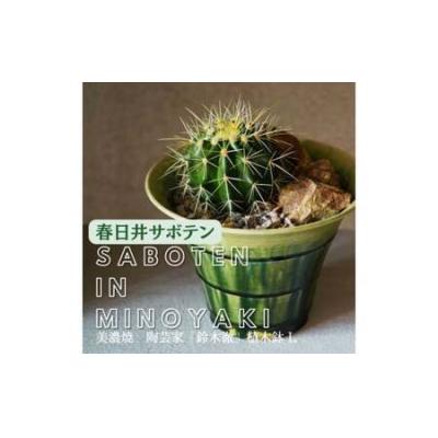 ふるさと納税 春日井市 多治見市×春日井市[美濃焼]陶芸家「鈴木徹」植木鉢L×[サボテン]春日井市の名店 後藤サボテン