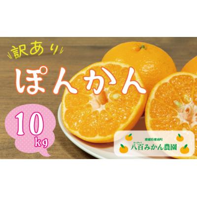 ふるさと納税 愛南町 [先行予約]発送:2027年1月下旬〜八百みかん農園 の 訳あり ぽんかん 10kg