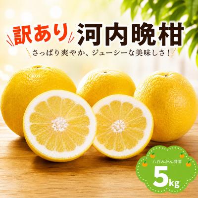 ふるさと納税 愛南町 [先行予約:2027年4月上旬〜発送] 八百みかん農園 の 訳あり 河内晩柑 5kg