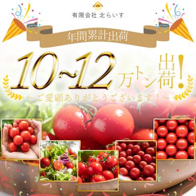 ふるさと納税 香南市 高糖度フルーツトマト 高知県 1kg kr-0083 |  | 01