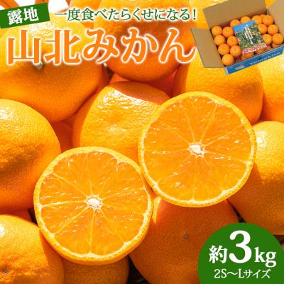 ふるさと納税 香南市 [令和7年度出荷]ブランドみかん 小玉 3kg 山北みかん 温州みかん 3キロ 人気 ku-0042
