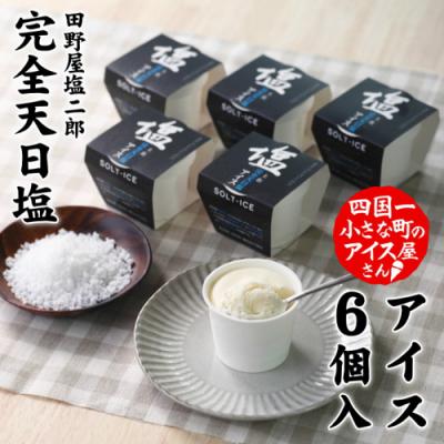 ふるさと納税 田野町 [四国一小さなまち]土佐完全天日塩カップアイス 6個入り ≪松崎冷菓≫