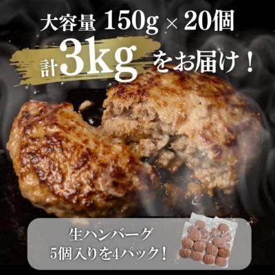 ふるさと納税 南あわじ市 【R8.11月発送】淡路島玉ねぎ入れすぎハンバーグ 3kg(150g×20個) 冷凍 |  | 01
