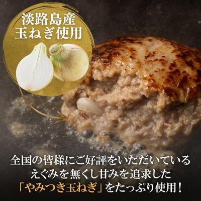 ふるさと納税 南あわじ市 淡路島玉ねぎ入れすぎハンバーグ 3kg(150g×20個) 冷凍 |  | 02