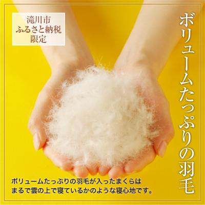 ふるさと納税 滝川市 国産 ダウン枕(中)5つ星高級ホテル多数採用 完全国内生産 綿100% 枕カバー付き まくら 快眠- |  | 02