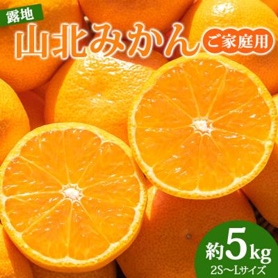ふるさと納税 香南市 [令和8年10月下旬発送開始]訳あり 山北みかん 5kg 家庭用 温州みかん 人気 ku-0054