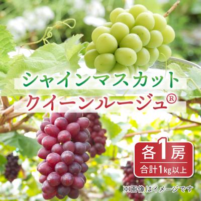 ふるさと納税 東御市 [先行受付2026年発送]東御市産クイーンルージュ(R)&amp;シャインマスカットのセット