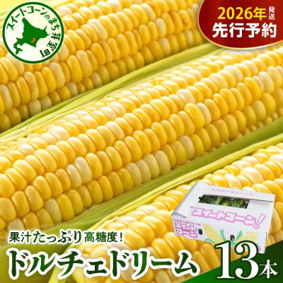 ふるさと納税 芽室町 [先行受付]北海道芽室町 中捨農場 ドルチェドリーム 13本 me062-001c-26