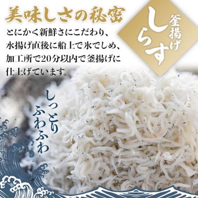ふるさと納税 香南市 釜揚げしらす 230g×2パック ym-0008 |  | 01