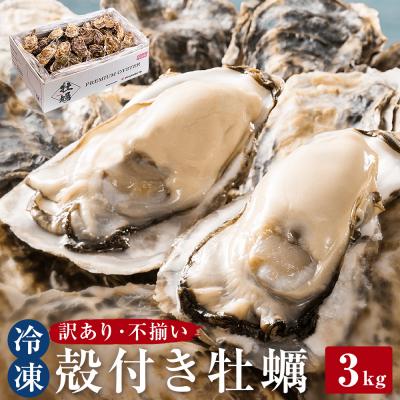 ふるさと納税 石巻市 &lt;訳あり・不揃い&gt;冷凍殻付き牡蠣 3kg 宮城県 石巻市 三陸産 カキ かき 加熱用 カンカン焼き