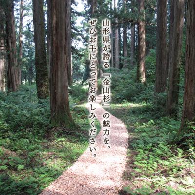 ふるさと納税 金山町 かねやま杉のアタッシュケース F4B-0063