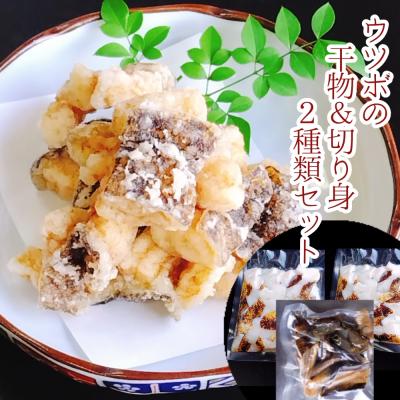 ふるさと納税 土佐清水市 からあげ用ウツボ2種類セット カット干物(100g)&amp;切り身生(200g×2P)[R00363]