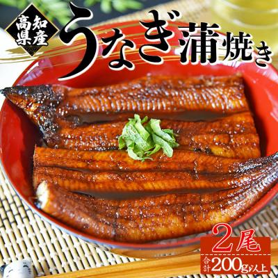 ふるさと納税 香南市 [高知県産]うなぎ 蒲焼き 100〜120g 2尾セット 養殖 fb-0142