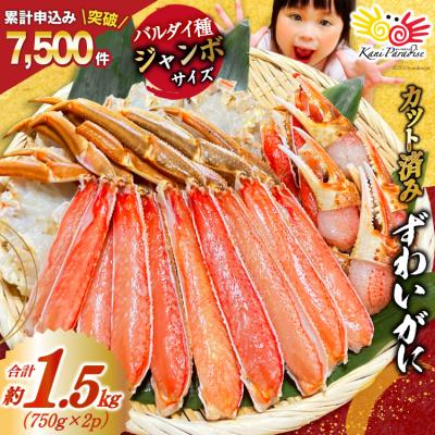 ふるさと納税 気仙沼市 カット済 ずわいがに むき身セット 総重量1.5kg 正味重量1.2kg 20564319 ◎